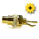 RCA-chassie RA492 guldpl&auml;terad teflon Vit, RCA-chassihonor